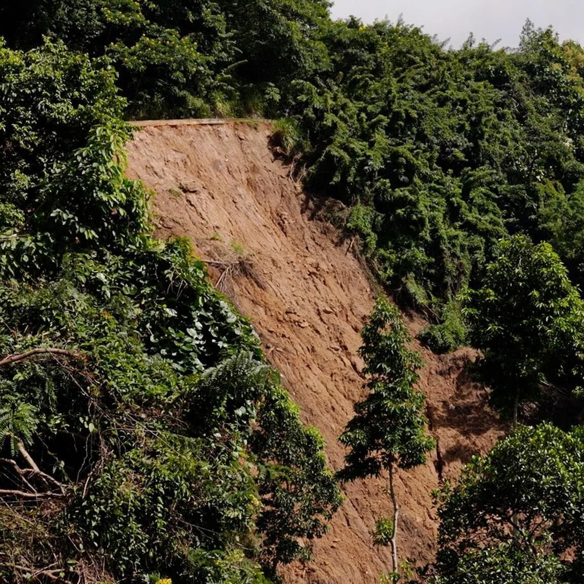 Landslides triggered by Cyclone Ditwah toppled buildings and destroyed plantations still left their mark throughout the area of Badulla.