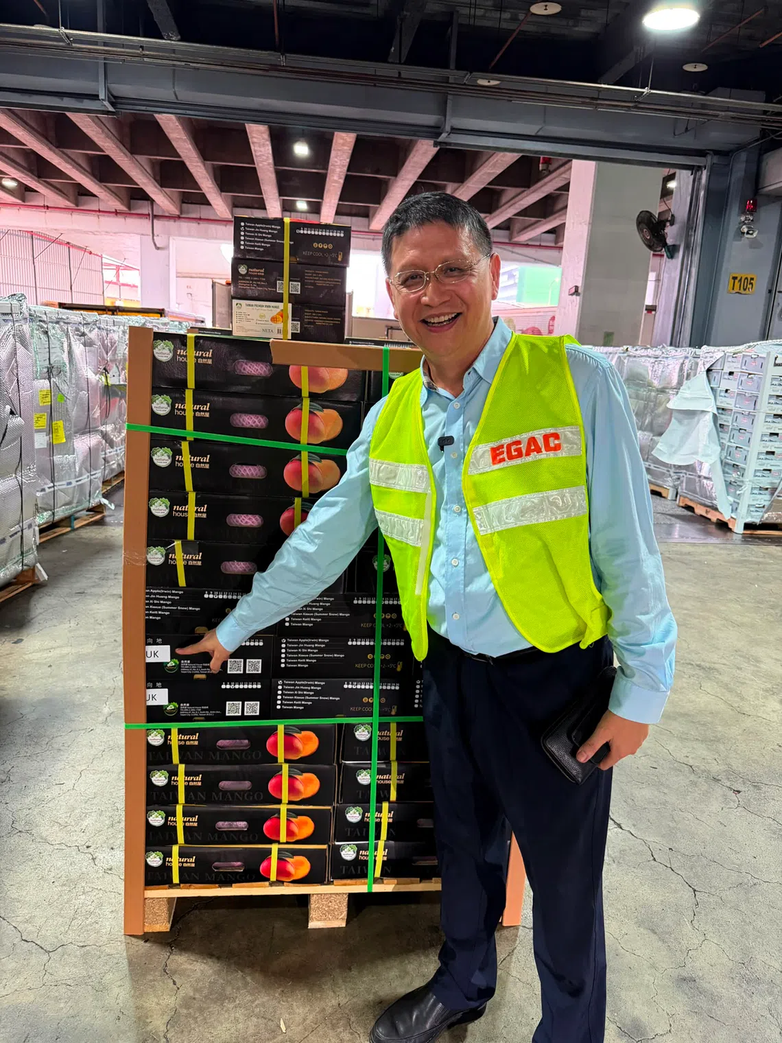 Taiwan mangoes ready to be shipped to UK.