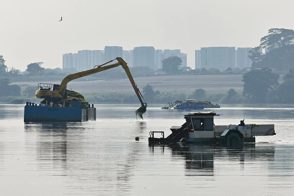 Harvesters removing aquatic plants from Lower Seletar Reservoir.