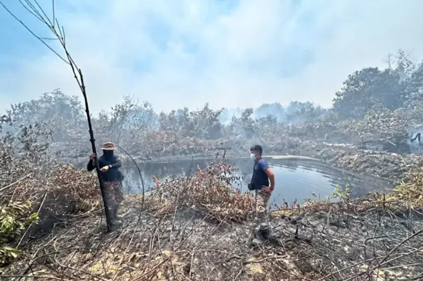 Firemen working on extinguishing the fire near the Desaru-Pengerang highway in Johor.