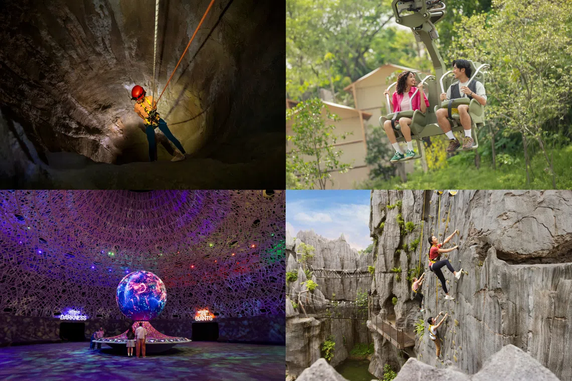 Rock climbing, canopy gliders and a night in a forest tent: The ultimate friends’ weekend, right here in Singapore