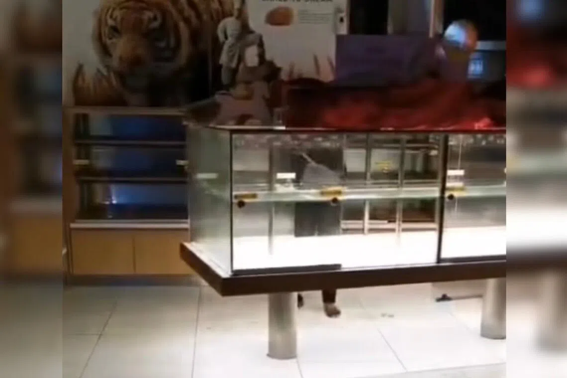 Worker who cleaned BreadTalk display shelves with broom dismissed; deep cleaning of outlet conducted