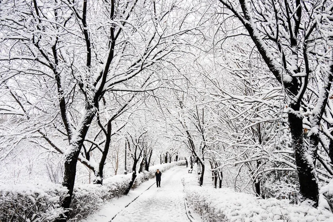 South Korea dealt with its wettest winter in about half a century.