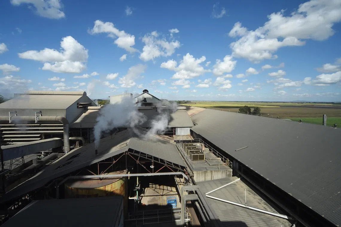 Wilmar Sugar and Renewables runs eight mills in Australia that produce more than half of the country’s sugar. 