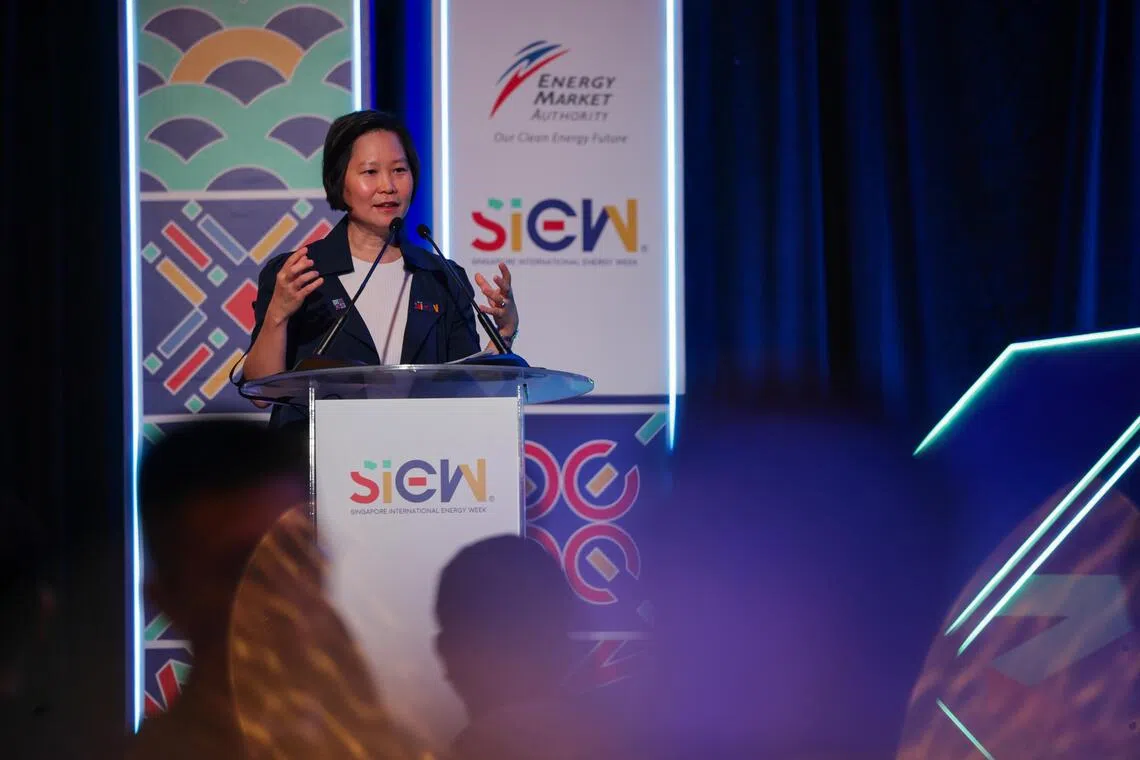 Minister of State for Trade and Industry Gan Siow Huang said the power sector is expected to continue expanding and hiring in the coming decade.