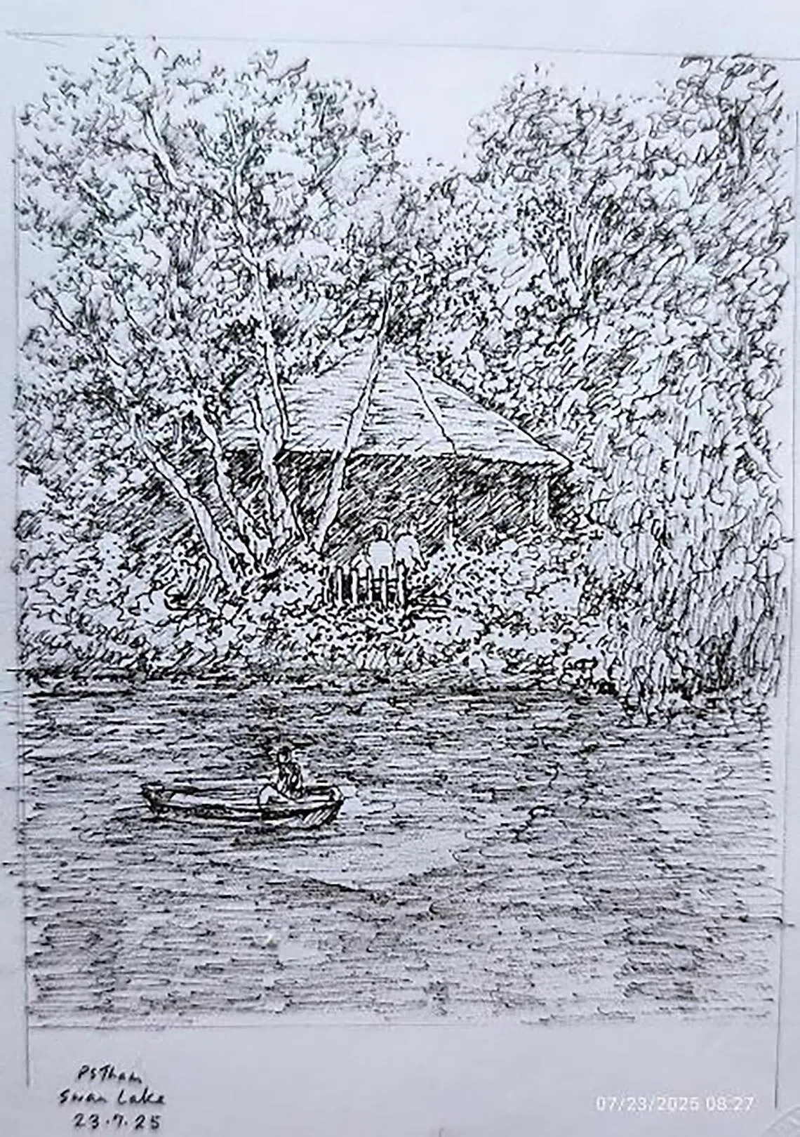 Learn how to capture twisting trunks, leafy textures and shifting light with simple lines and shading.