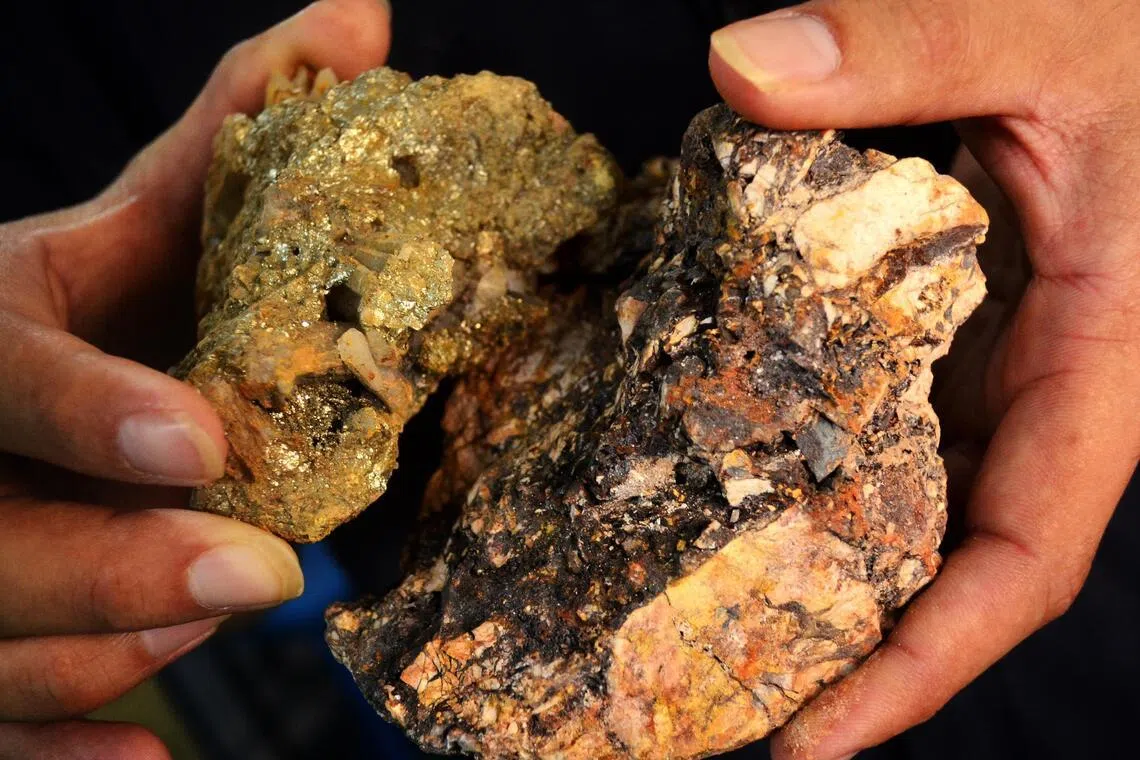 Some of the ore rocks present on the CNMC gold mine in Kelantan