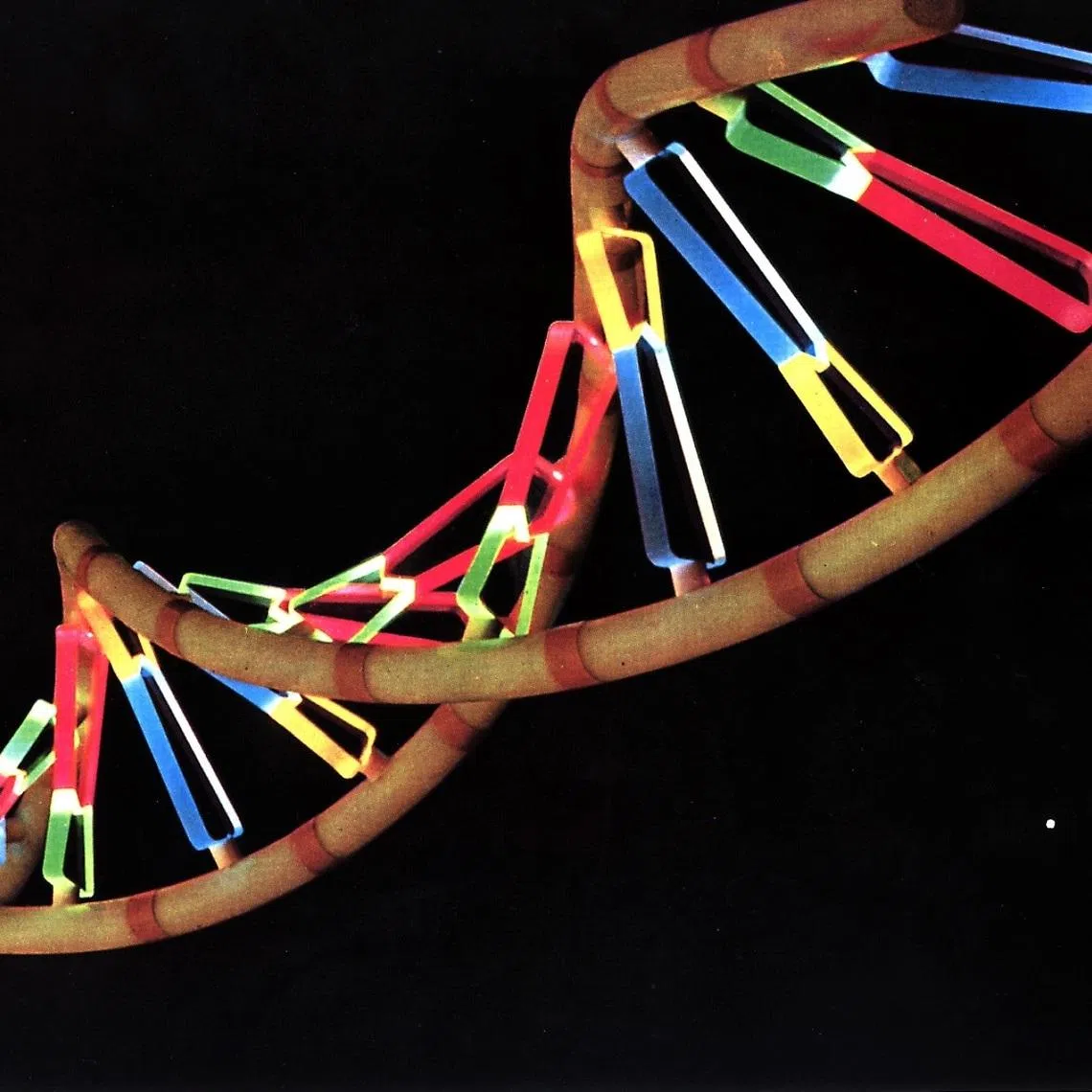 Mei’s parents paid more than US$800,000 (S$1 million) to fund the experimental genetic therapy, but were not adequately informed about the risks, the Science and Retraction Watch report said.
