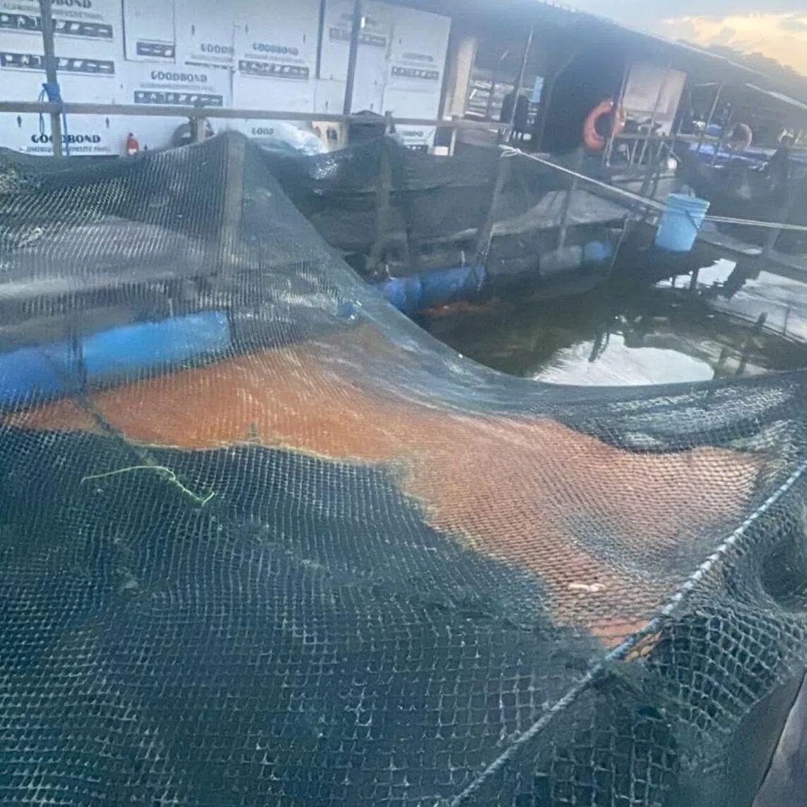 Oil patches were reported by fish farms located in the East Johor Strait on July 17.