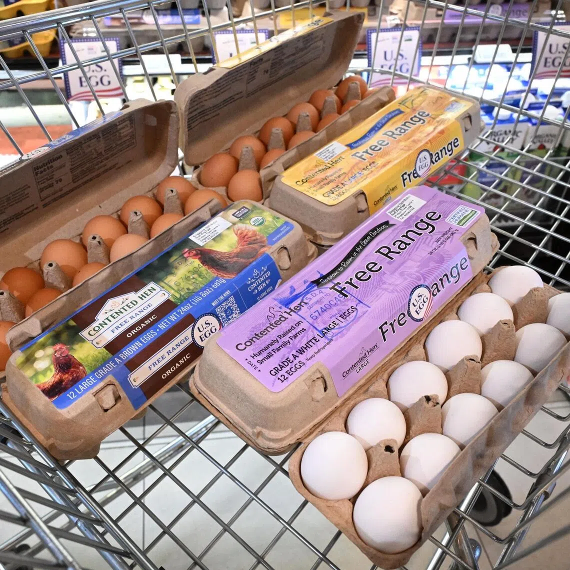 Contented Hen eggs from the US are now available at more than 50 FairPrice outlets.