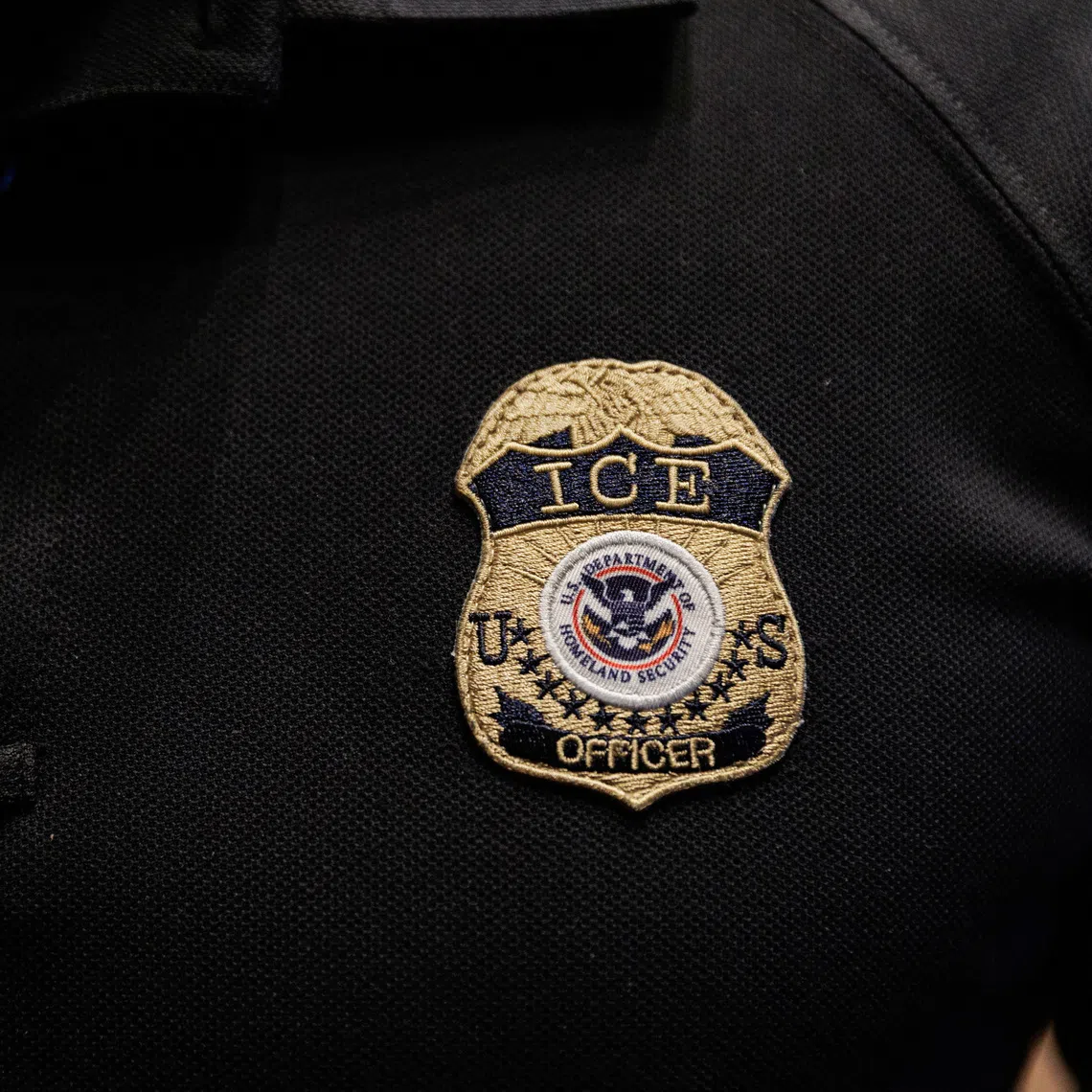 ICE said Mr Hamdi was detained “as he was in the country illegally”.