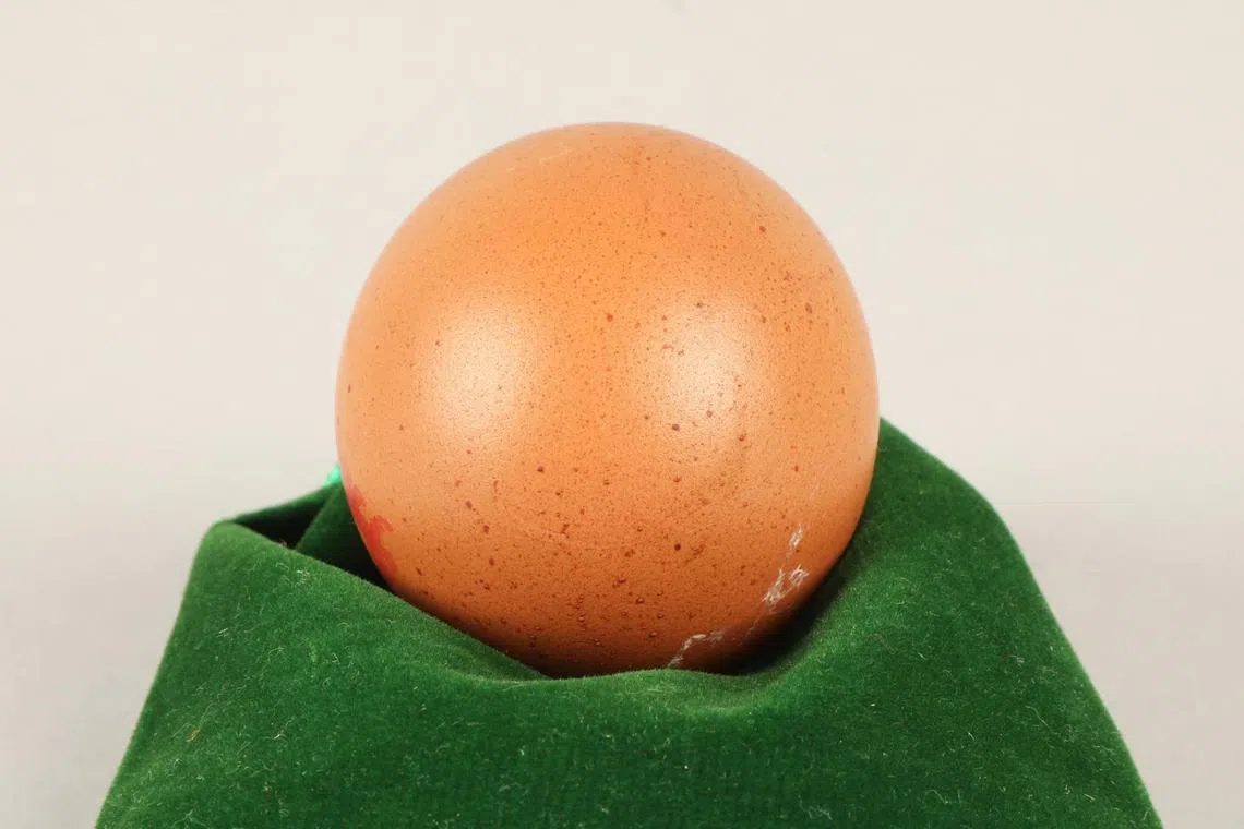 A woman in Scotland found the egg in a box at British supermarket Asda.