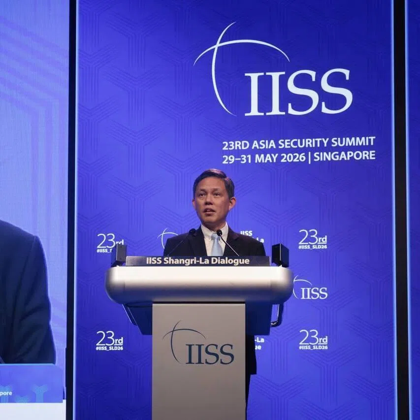 Defence Minister Chan Chun Sing highlighted how Singapore has worked with the Netherlands and South Korea to start global discussions on military AI governance.