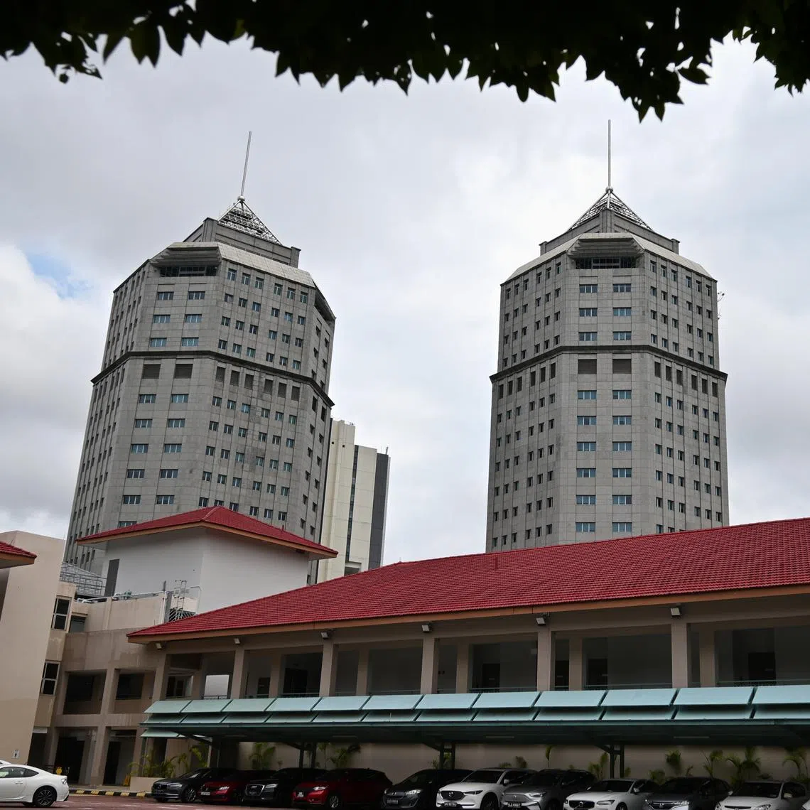 The Ministry of Home Affairs said on March 27 that Ms Fadiah Nadwa Fikri had encouraged some youths here to “adopt her brand of radical advocacy”.