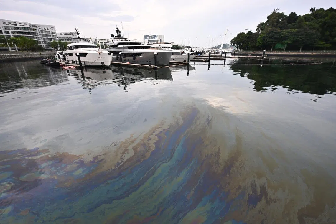 Yachts docked at Marina at Keppel Bay with oil sheen in the water at about 5.30pm on June 18.