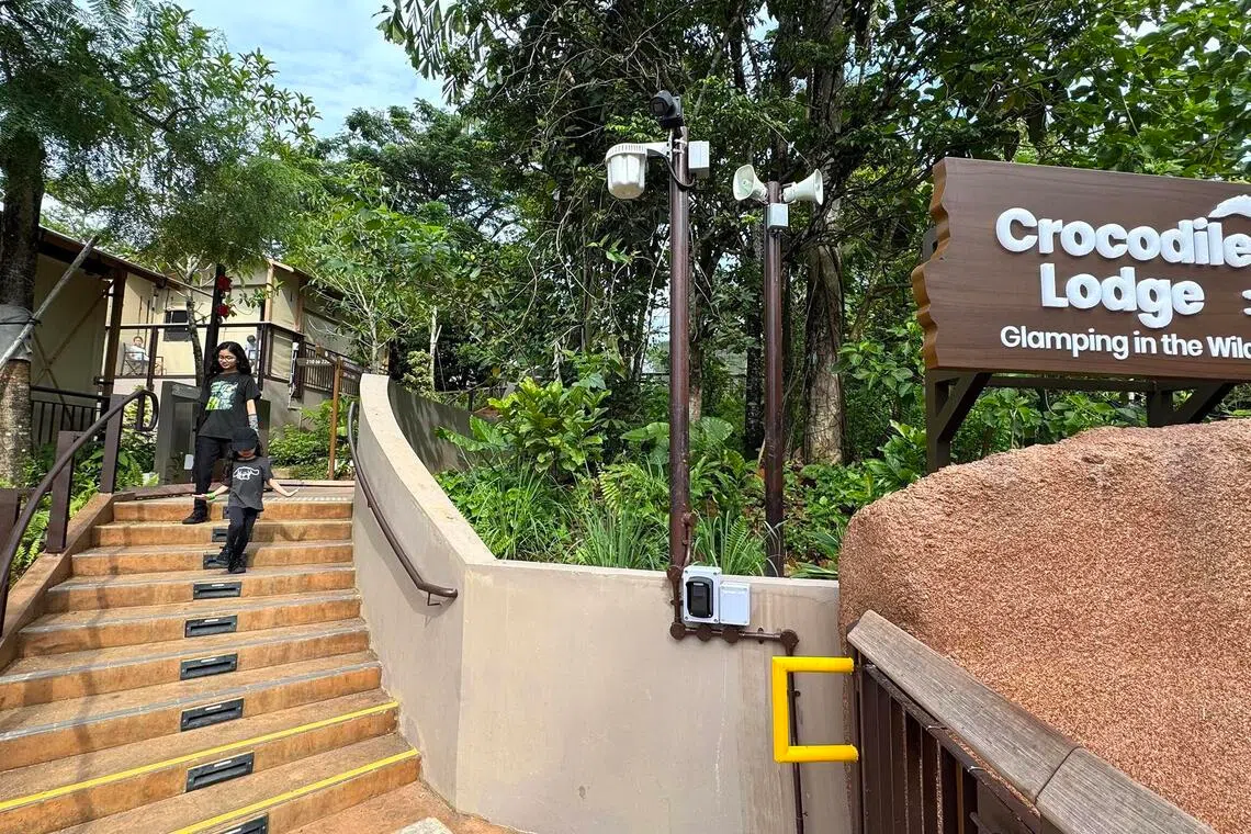 The earth-toned architecture of the campsite was designed to blend seamlessly into the surrounding landscape. 