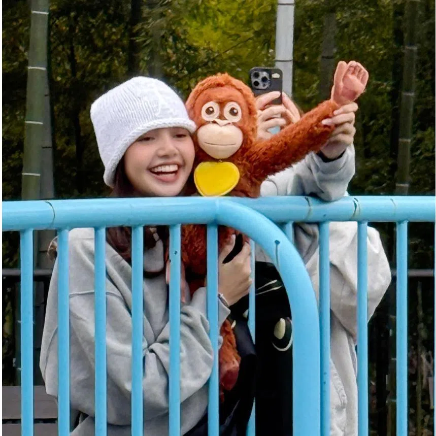 Lisa was seen carrying an orang utan plush toy identical to the one the seven-month-old macaque is often seen clutching.