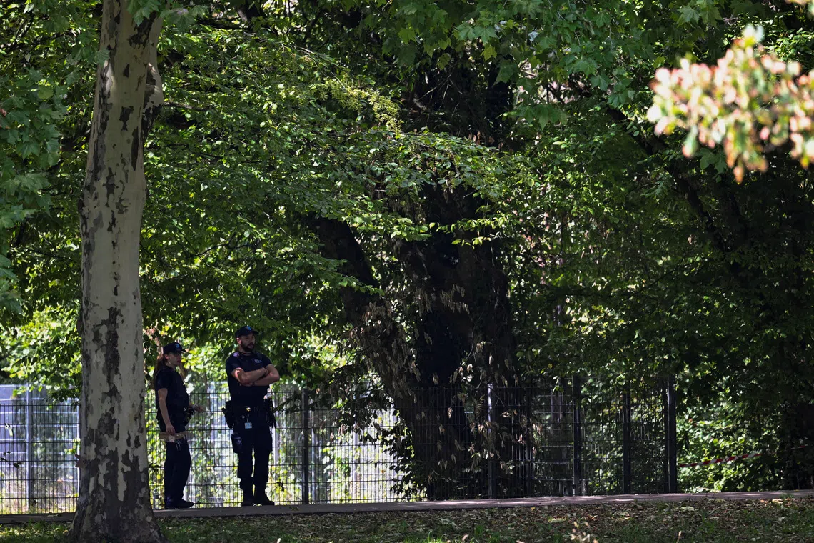 Swiss rave shooting ‘lone perpetrator’ handed himself in to police