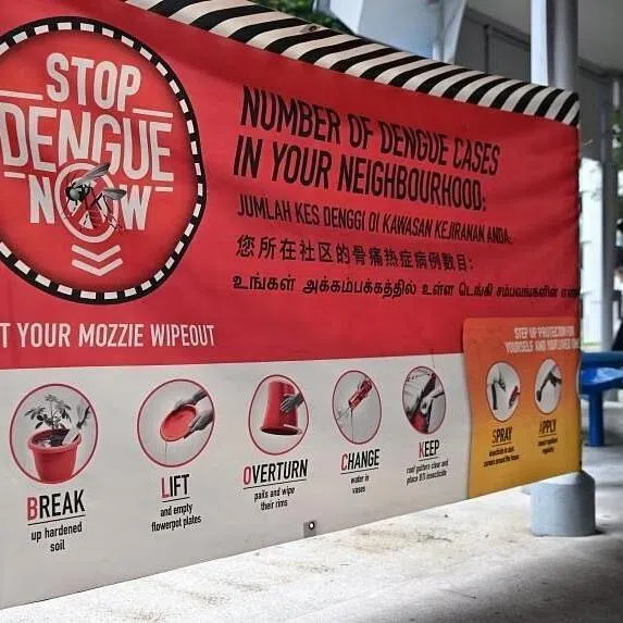 There were 12 active dengue clusters reported as at June 15, including four with the red-alert classification.