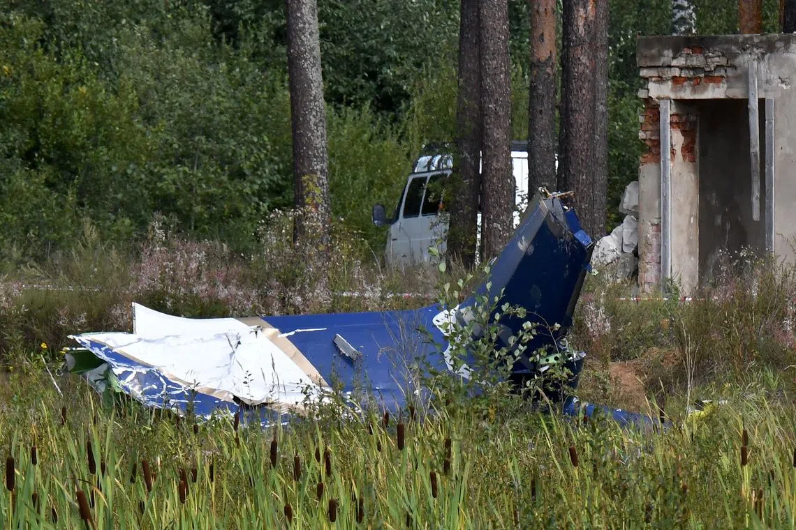 The Embraer Legacy 600 executive jet crashed near the village of Kuzhenkino in the Tver region north of Moscow on Aug 23.