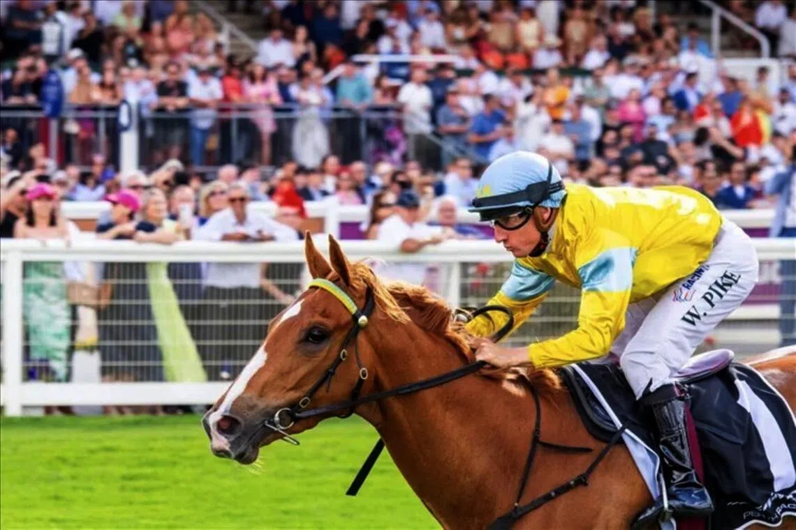 King Of Light to rule Northerly