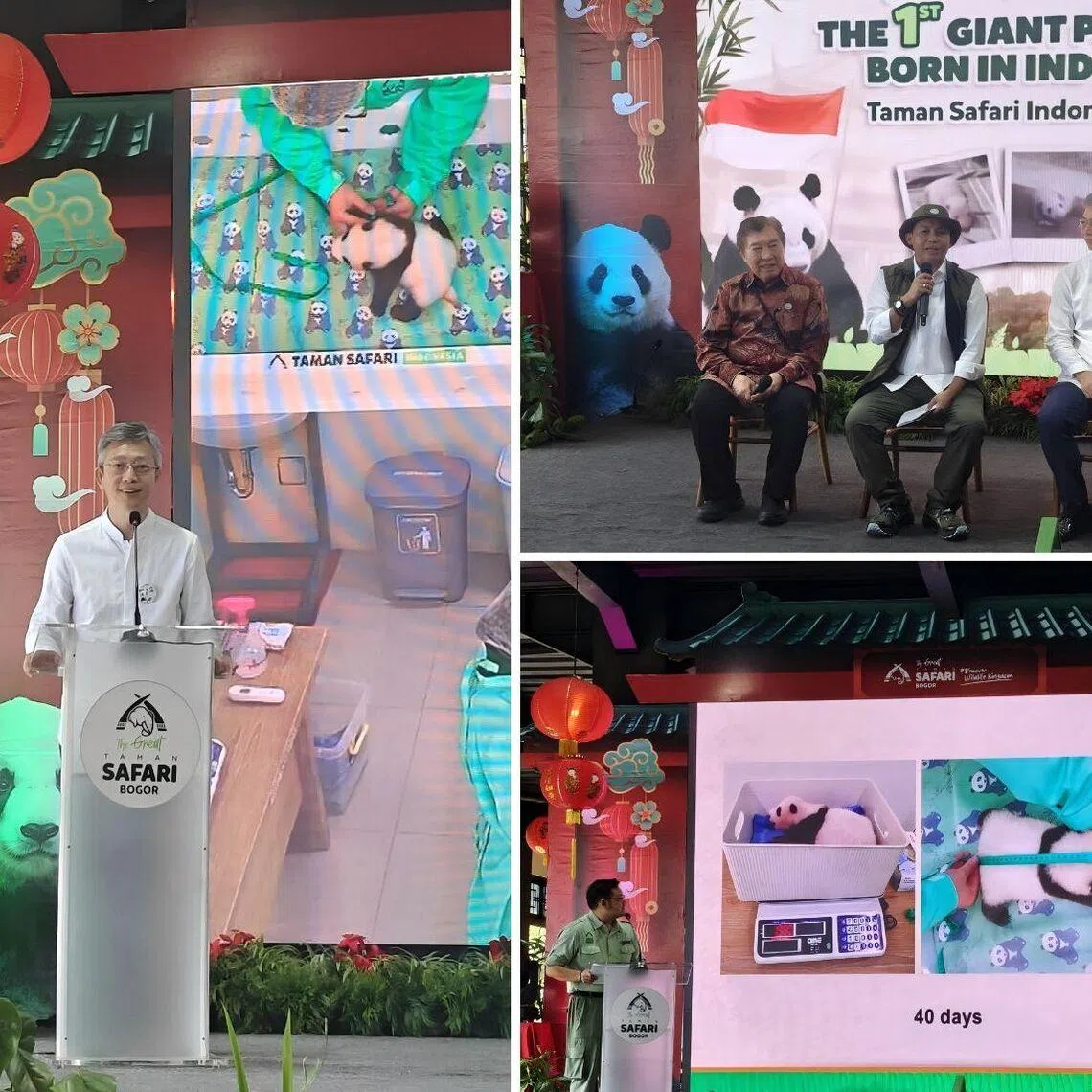 Chinese ambassador to Jakarta Wang Lutong referred to the panda cub's birth as a symbol of deep friendship between China and Indonesia.