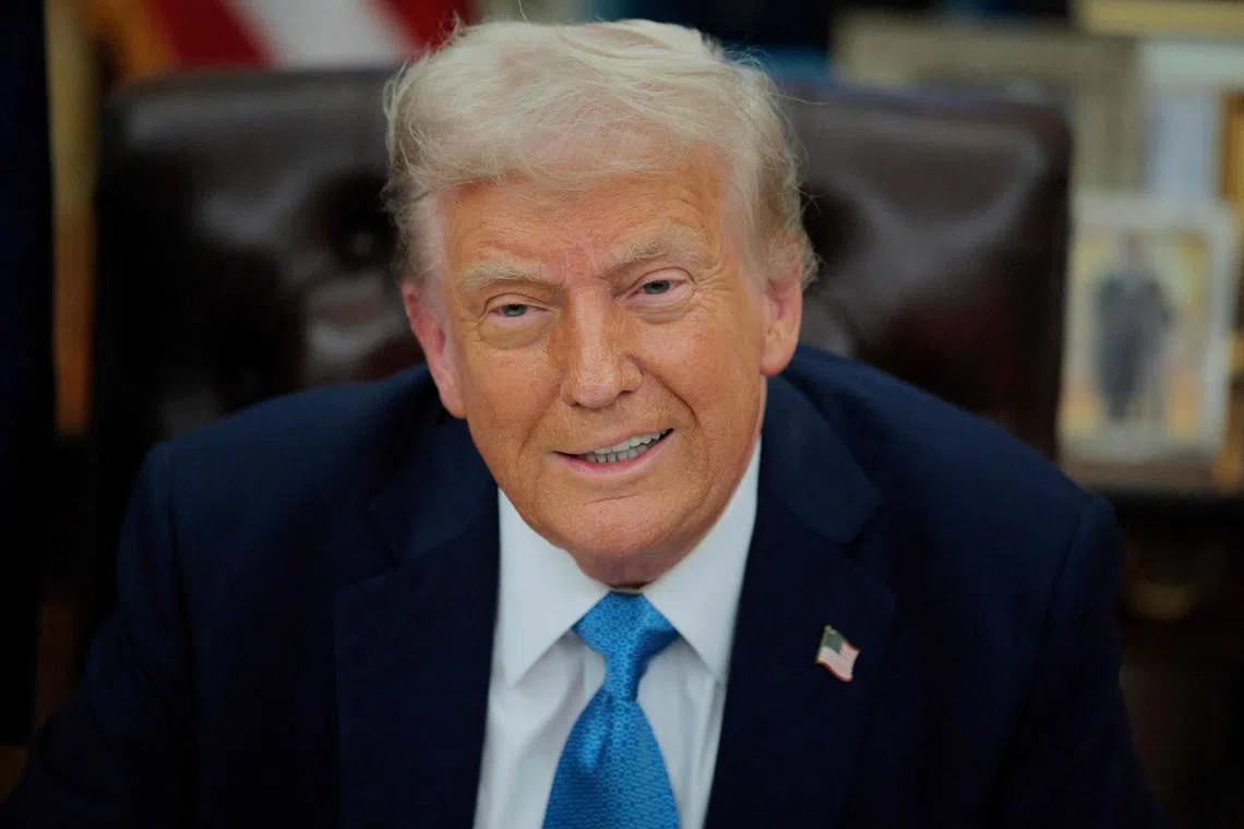 US President Donald Trump believes tariffs will enrich Americans, but critics are saying he is misreading history.