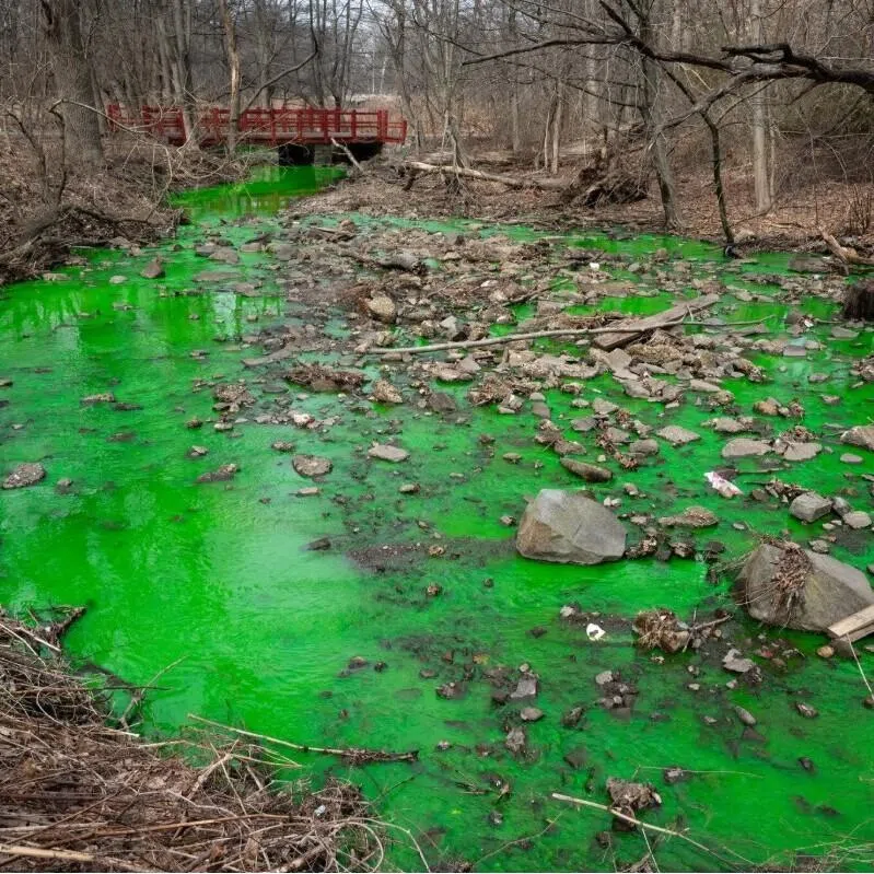 A creek in Clove Lakes Park after workers from the New York City Department of Environmental Protection put green dye in the park’s toilets to see if waste from the restrooms was sloshing into the creek.