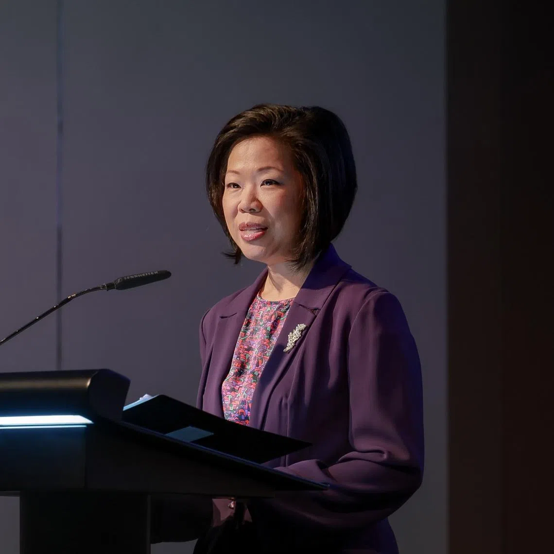 Senior Minister of State for Foreign Affairs and Home Affairs Sim Ann speaking at the Business China Special Speaker Series on March 6.
