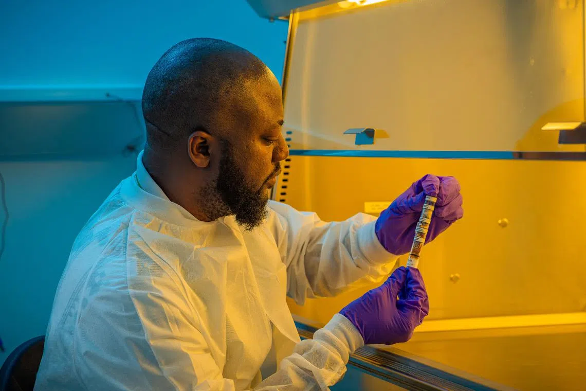 Why the egusi? A Nigerian melon seed's journey into space | The Straits  Times