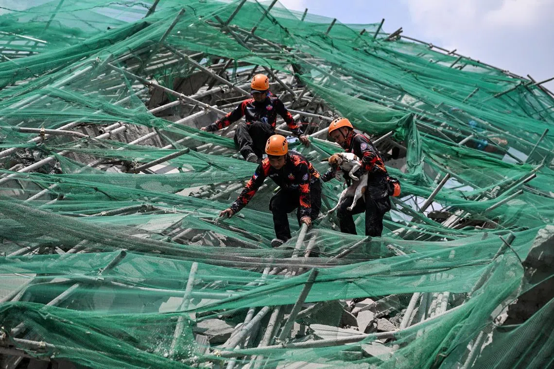 Rescue workers use a K-9 to search for trapped survivors among the debris in Angeles City, Philippines, on May 25.