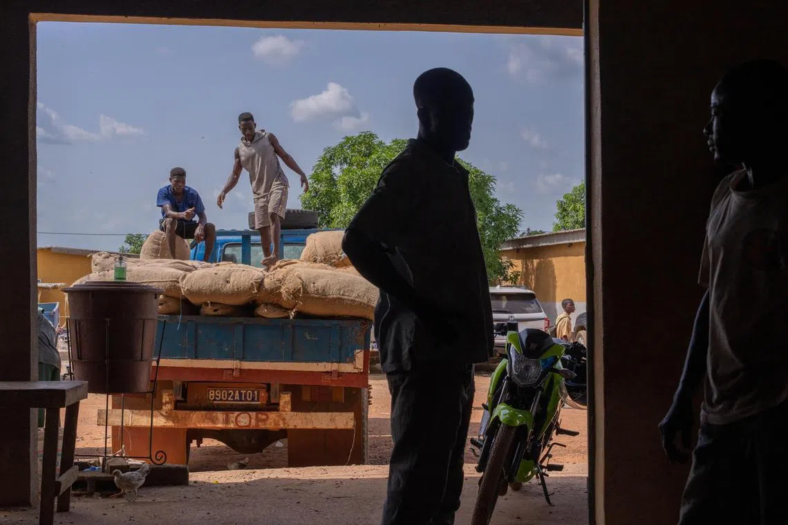 aqcocoa -Farmers transport their bags of cocoa beans to a cooperative, in this case Skapen cooperative, which acts as an intermediary to sell the beans to groups such as Barry Callebaut. Bags of beans on a truck outside Skapen Cooperative's warehouse in Tiassalé, Ivory Coast on April 25.

Source: Nana Kofi Acquah © Barry Callebaut