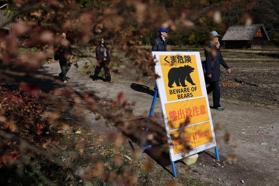A bear warning sign is displayed at the site near where a Spanish visitor was attacked by a cub in October at Shirakawa-go, in Japan's Gifu Prefecture, on Nov 15, 2025.