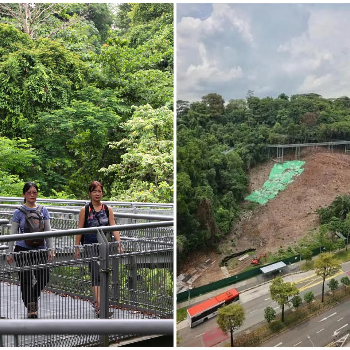The affected parts of the trails closed for public safety and slope repairs include the eastern section of the Forest Walk and the Earth Trail.