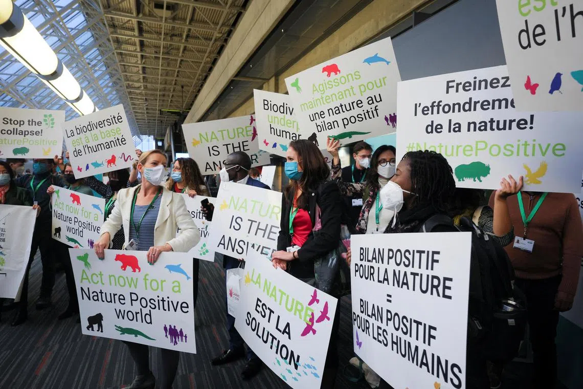 Members of WWF protest during COP15, the two-week U.N. Biodiversity summit, in Montreal, Canada, on Dec 7, 2022.