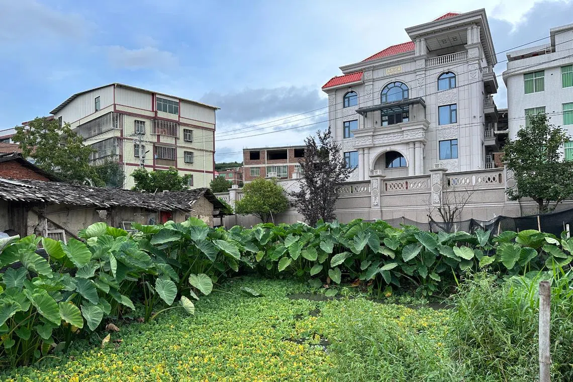 Nandou Village in Anxi County where ramshackle farmhouses are punctuated by multi-storey mansions. It is also the last known Chinese address of Chen Qingyuan.