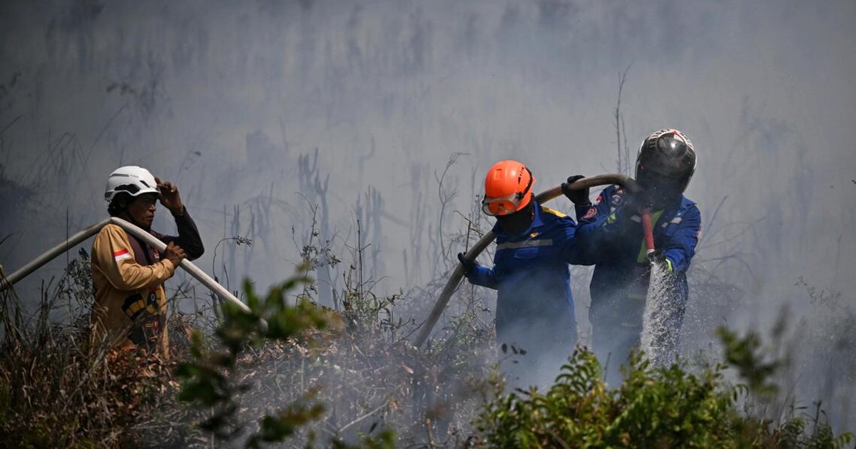 Indonesia probes 98 cases involving firms linked to fires; discusses assistance with Singapore