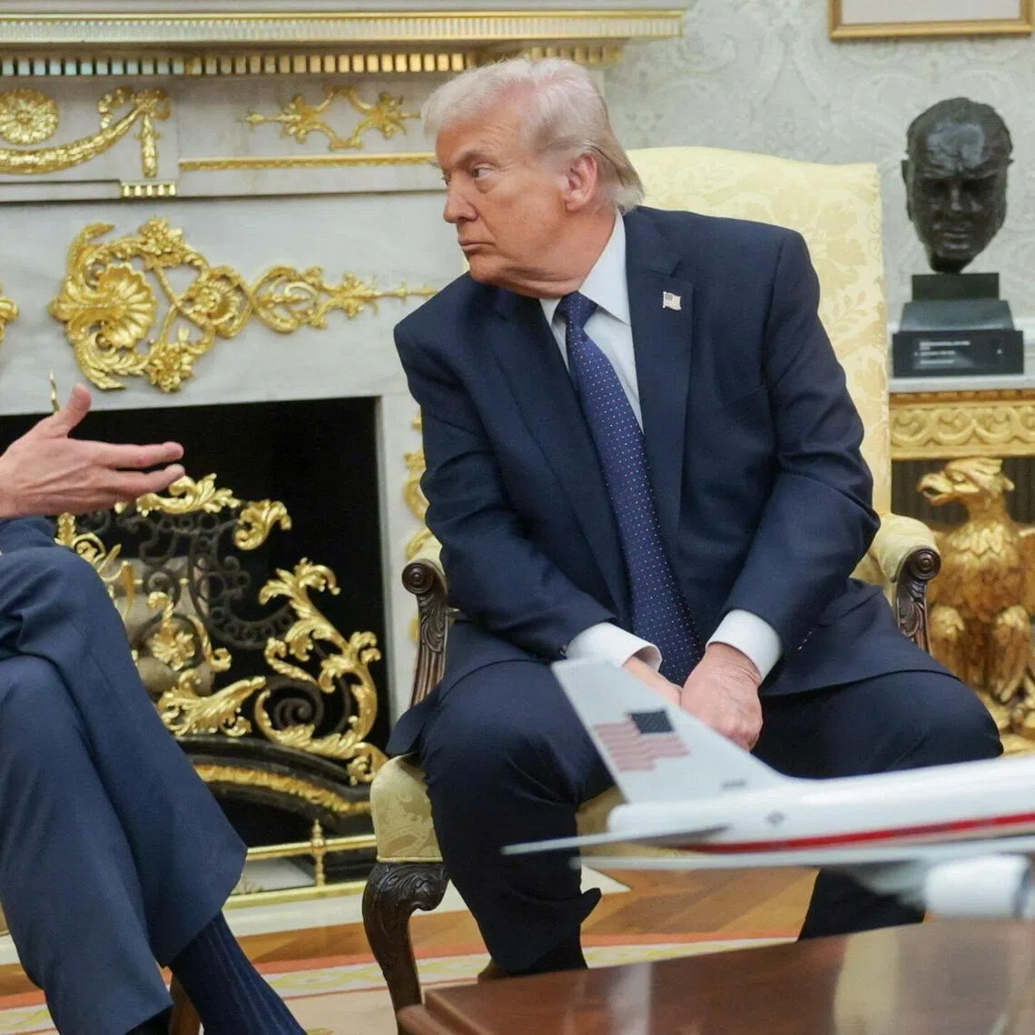 German Chancellor Friedrich Merz meeting US President Donald Trump at the White House on March 3.