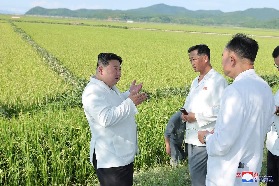North Korean leader Kim Jong Un praised the military’s efforts to salvage crops.
