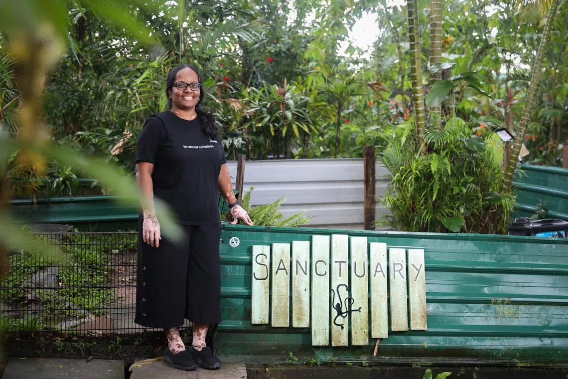 ST20250421_202526000416/hsanbu/Taryn Ng/Chin Hui Shan//

Acres co-chief executive Anbarasi Boopal, popularly known as Anbu, is leaving Acres after close to two decades. She is pictured at Acres Wildlife Rescue Centre on April 21, 2025. ST PHOTO: TARYN NG