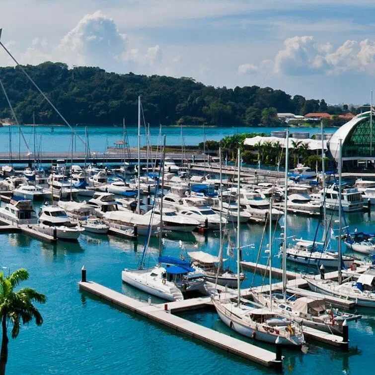 SUTL will invest in modernisation and infrastructure upgrades for the marina, including upgraded berthing infrastructure. 