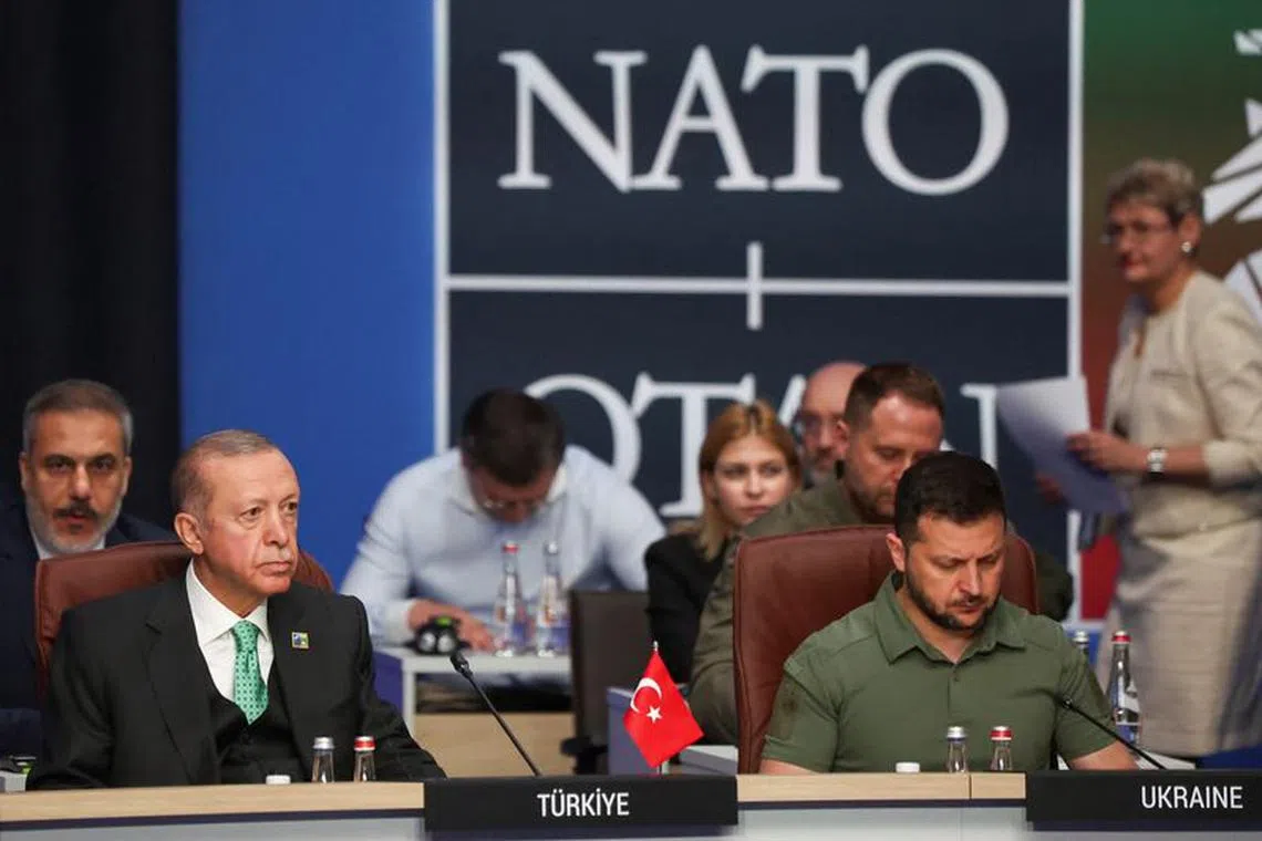 Turkish President Tayyip Erdogan and Ukraine's President Volodymyr Zelenskiy attend a NATO leaders summit in Vilnius, Lithuania, July 12, 2023. REUTERS/Kacper Pempel