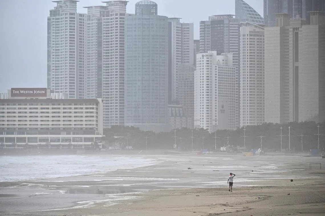 TOPSHOT - A man walks along a beach during winds brought on by Typhoon Khanun at the southeastern port city of Busan on August 10, 2023. (Photo by Anthony WALLACE / AFP)