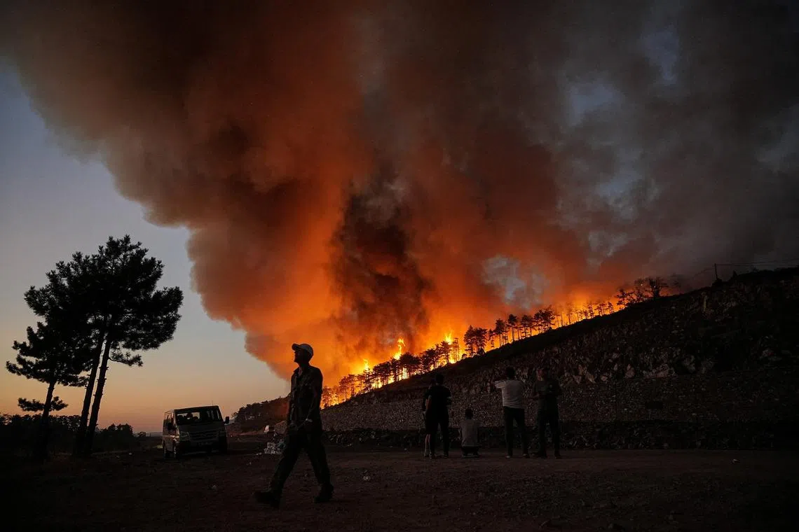 A wildfire in Turkey's Bursa province on July 27. Crews fought to tame two separate blazes there on July 28.