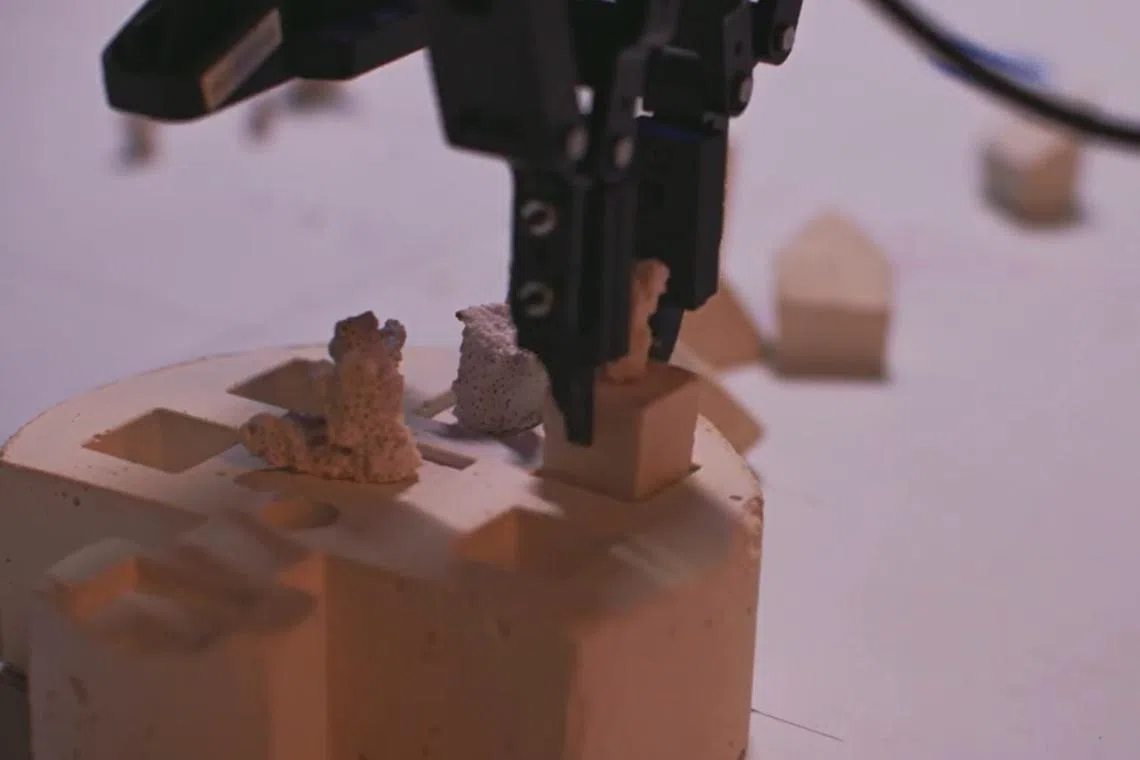 Scientists are developing AI-powered robots that can automate coral restoration.