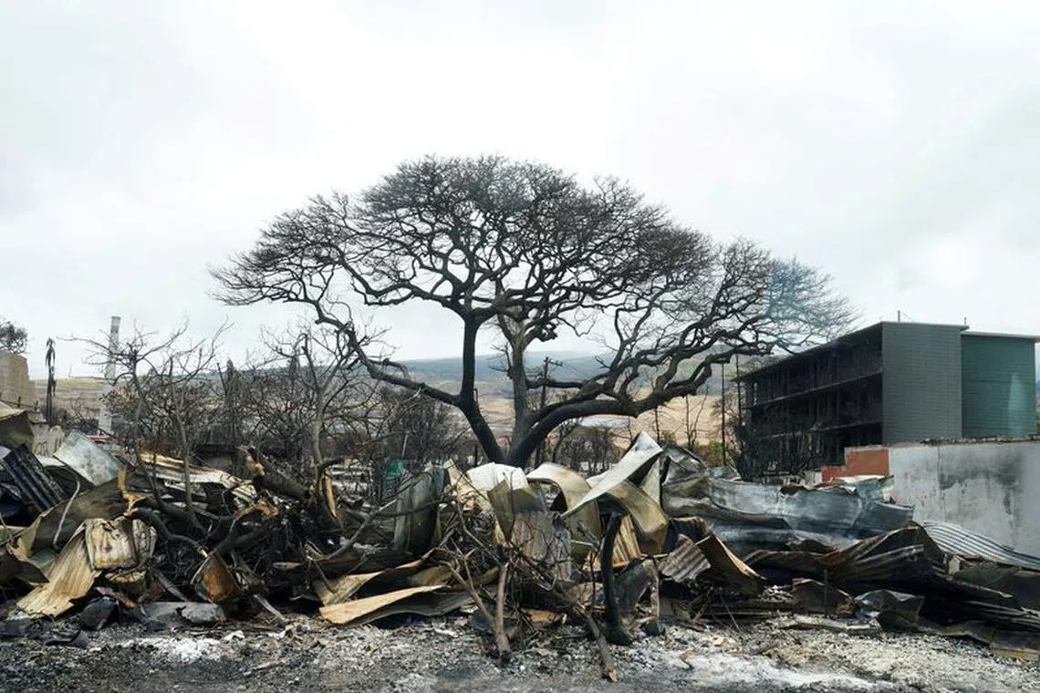 FILE PHOTO: A view shows the damages as U.S. President Joe Biden and first lady Jill Biden (not pictured) visit the fire-ravaged town of Lahaina on the island of Maui in Hawaii, U.S., August 21, 2023. REUTERS/Kevin Lamarque/File Photo