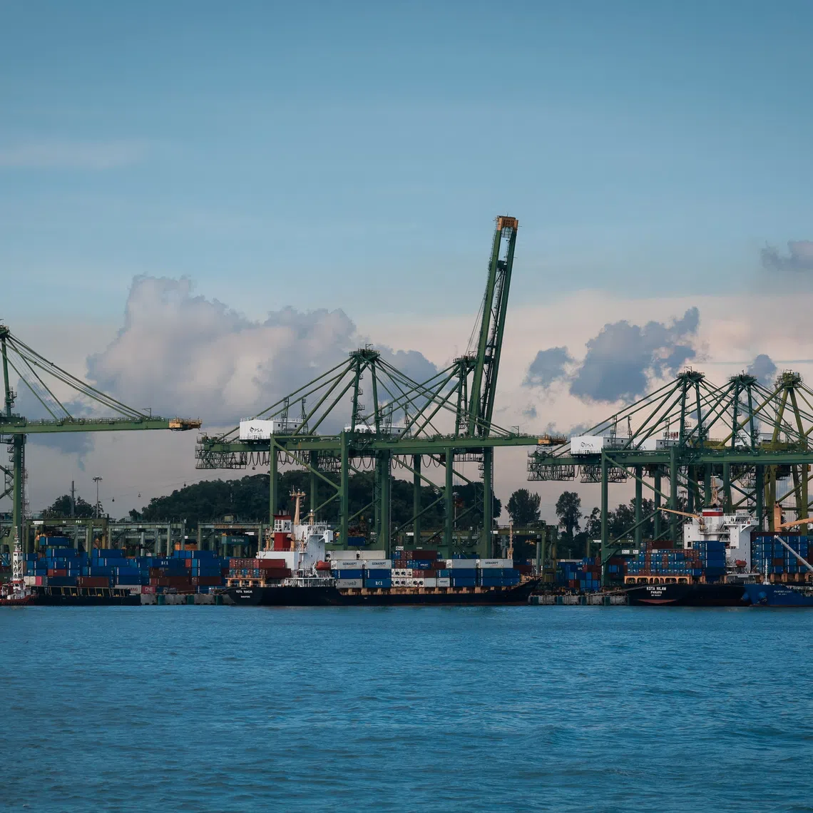 The broad trend is upward in terms of the number of vessels coming to Singapore, but there is no linear month-on-month increase.