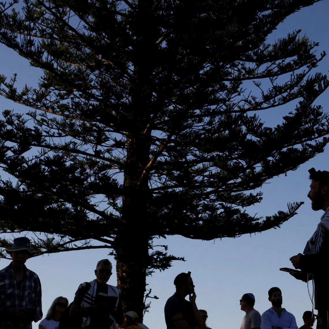 The gunmen accused of carrying out the Bondi Beach attack used powerful firearms that were legally obtained.