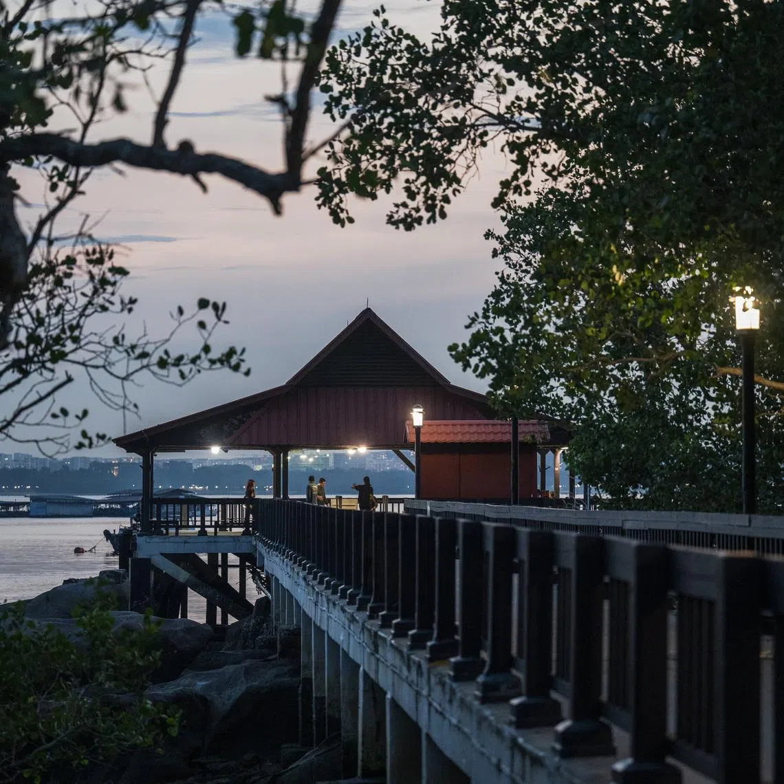 Running from May 30 to June 5, Drama Box's Under Ubin Night Skies takes guests to the island for theatre performances and nature walks. 