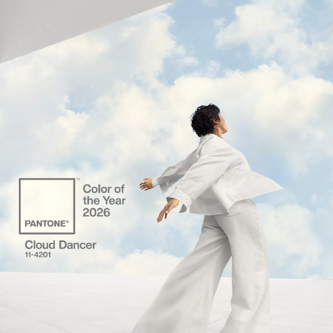 Pantone said Cloud Dancer, also known as Pantone 11-4201, has an “aerated presence” which acted as “a whisper of calm and peace in a noisy world".